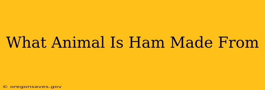 What Animal Is Ham Made From