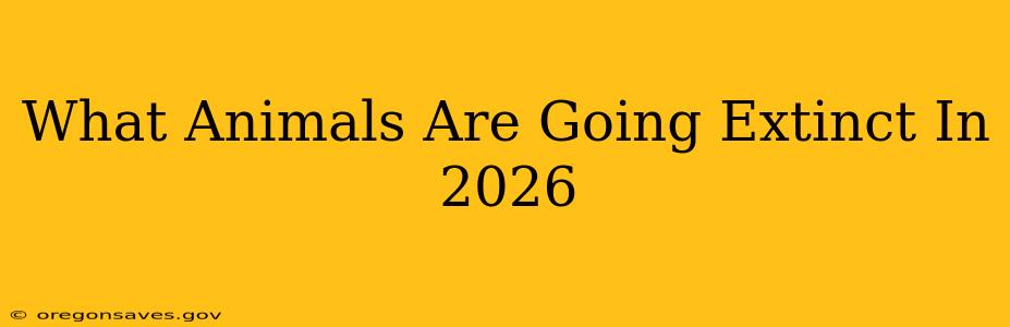 What Animals Are Going Extinct In 2026