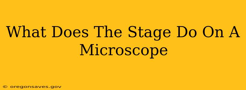 What Does The Stage Do On A Microscope