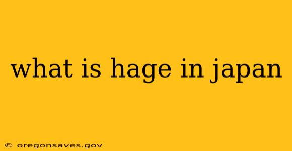 what is hage in japan