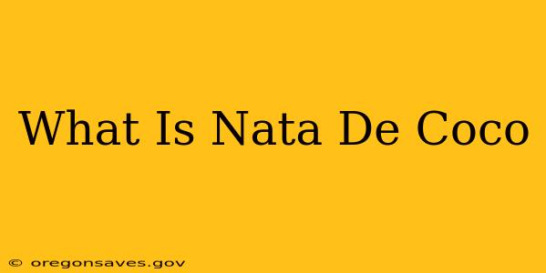 What Is Nata De Coco