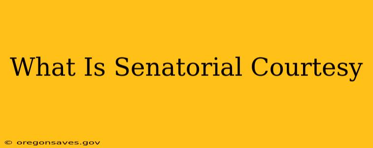 What Is Senatorial Courtesy