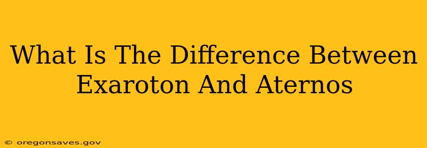 What Is The Difference Between Exaroton And Aternos
