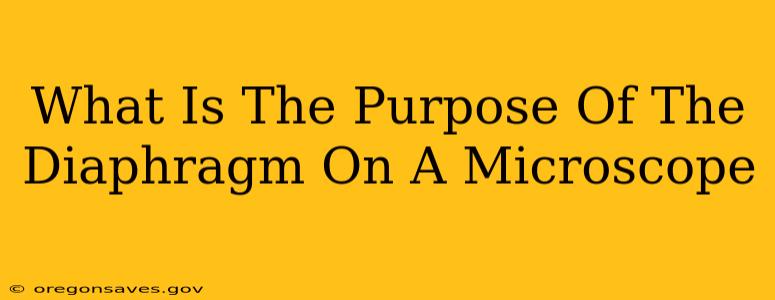 What Is The Purpose Of The Diaphragm On A Microscope