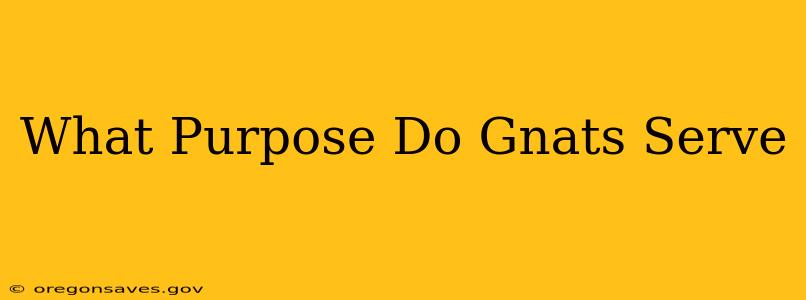 What Purpose Do Gnats Serve