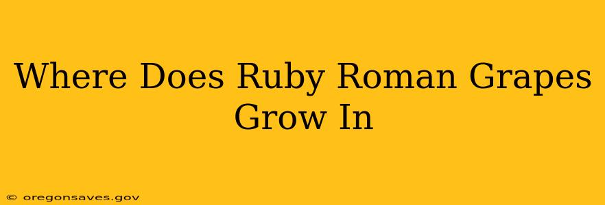 Where Does Ruby Roman Grapes Grow In
