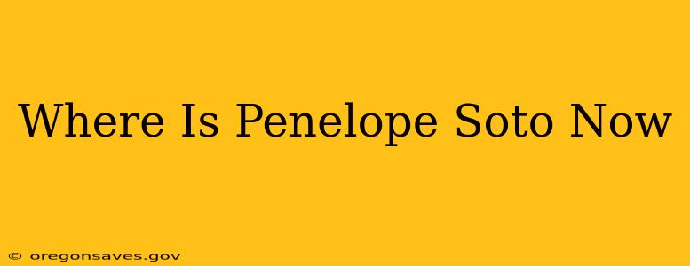 Where Is Penelope Soto Now
