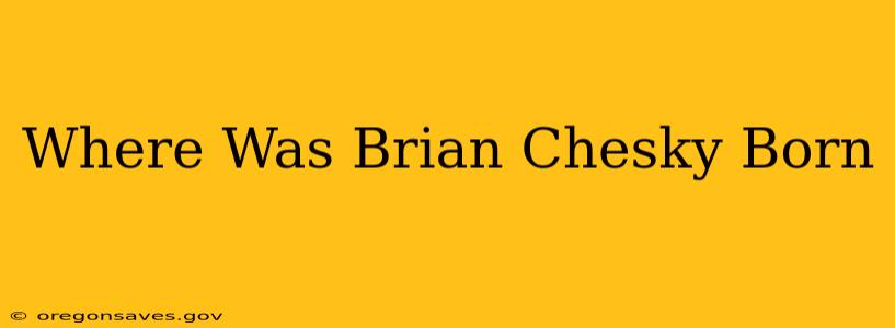 Where Was Brian Chesky Born