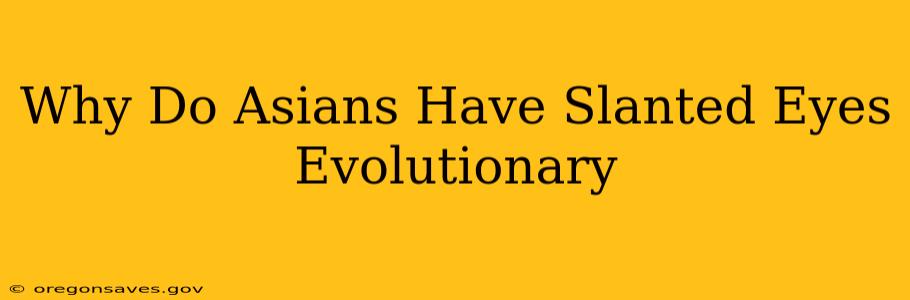 Why Do Asians Have Slanted Eyes Evolutionary