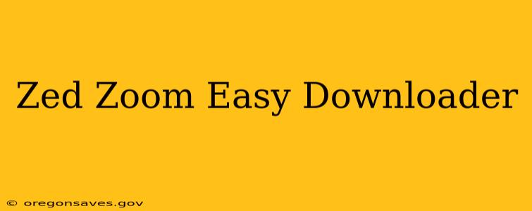 Zed Zoom Easy Downloader
