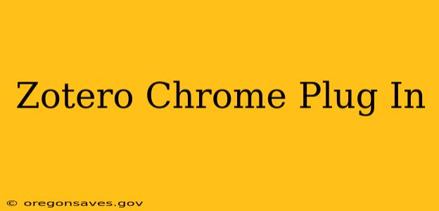 Zotero Chrome Plug In